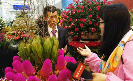 第十八屆中國國際花卉園藝展覽會5月11日(圖4) 第十八屆中國國際花卉園藝展覽會5月11日(圖4)